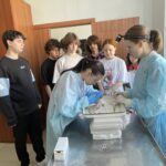 Команда хирургического кружка "Оперблок"  провела мастер-класс для лицеистов